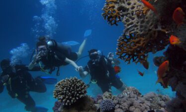 Malvan Tarkarli with Scuba Diving and Watersports