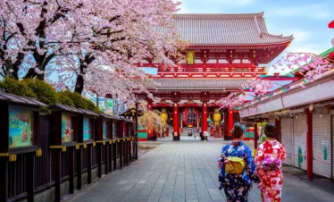 Japan Journey 5 Night 6 Days