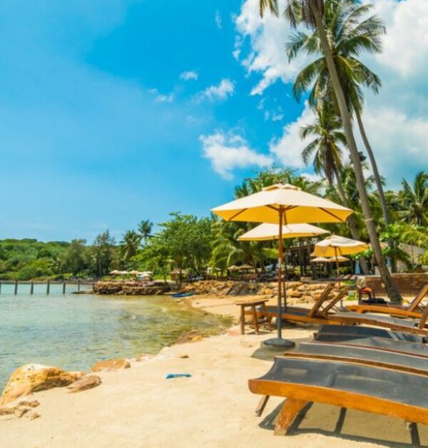 xr:d:DAF9fhrLETw:4,j:4738206270673449424,t:24022207