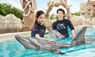 Singapore With Dolphin Encounter